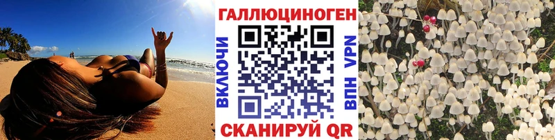Купить где  Кяхта  Галлюциногенные грибы прущие грибы 